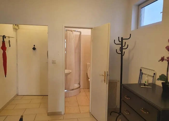Spacious Apartment Near The Center